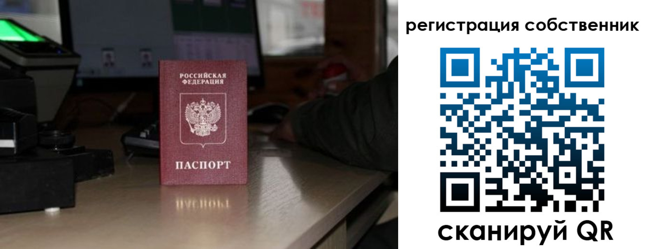 прописка поиск в Карталах